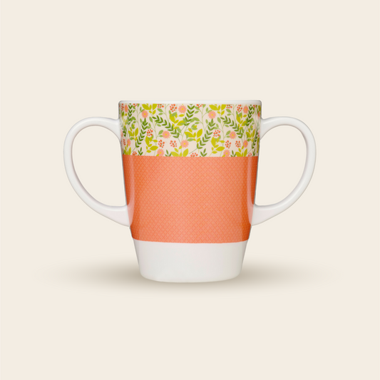 Double Handle Mug